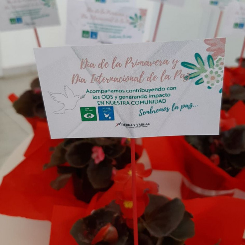 Entrega de Plantines
